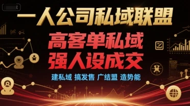 【精】一人公司私域联盟,高客单私域,强人设成交,建私域 搞发售 广结盟 造势能-创客之家
