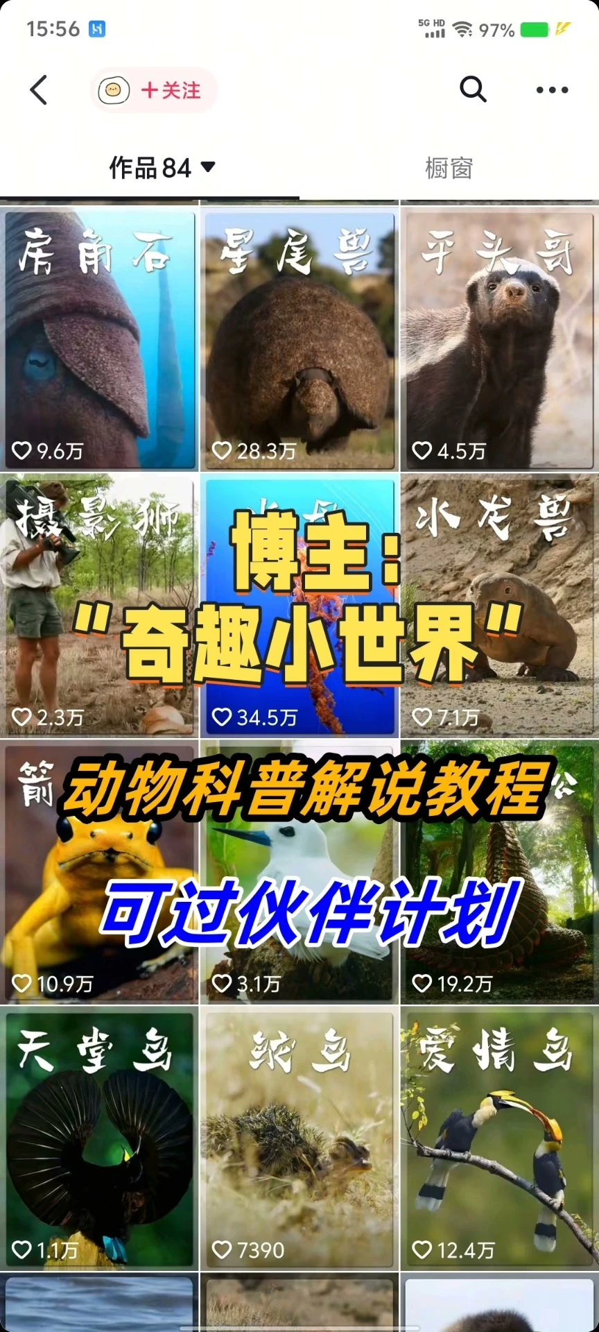 【精】奇趣小世界dy大v博主课程动物百科解说教程剪辑实操视频原创文案思路讲解-创客之家