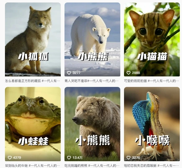 【精】最新搞笑动物百科详细解说课程,蓝海赛道,流量非常大,轻松签独家进精选-创客之家