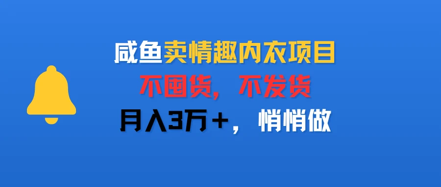 咸鱼卖情趣内衣项目,不囤货,不发货,月入3万+,悄悄做-创客之家