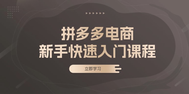 (13289期)拼多多电商新手快速入门课程:涵盖基础、实战与选款,助力小白轻松上手-创客之家
