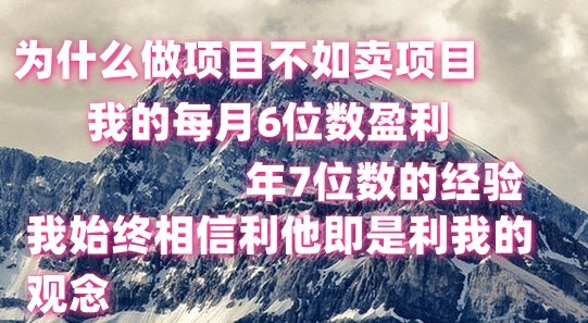 做项目不如卖项目,每月6位数盈利,年7位数经验-创客之家