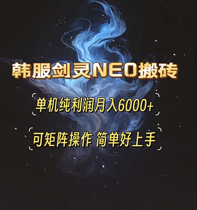 （13435期）韩服剑灵NEO搬砖攻略，单机纯利润月入6000+ 可矩阵操作，简单好上手。-创客之家