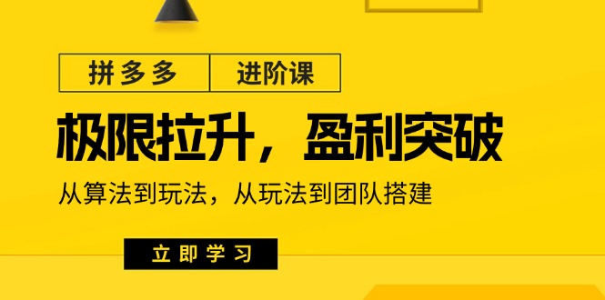 拼多多进阶课：极限拉升/盈利突破：从算法到玩法 从玩法到团队搭建（18节）-创客之家