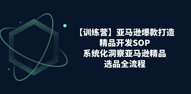 亚马逊爆款打造之精品开发SOP【训练营】，系统化洞察亚马逊精品选品全流程-创客之家