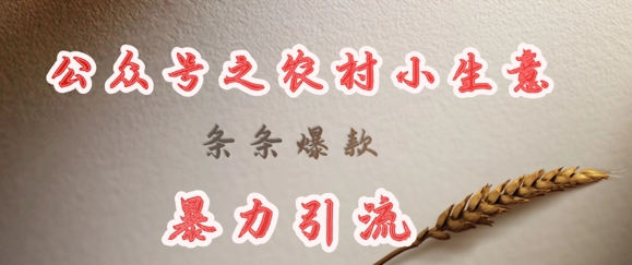 deepseek写农村小项目，条条爆款，暴力引流-创客之家