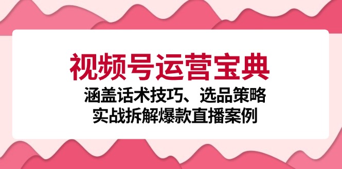 视频号运营宝典：涵盖话术技巧、选品策略、实战拆解爆款直播案例-创客之家
