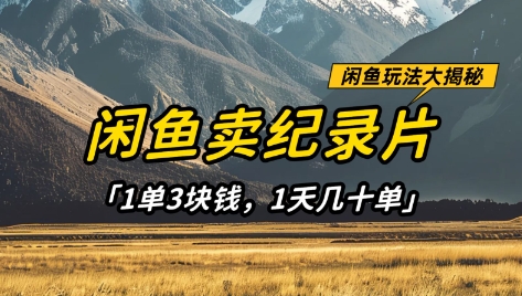 闲鱼卖纪录片1单3块钱，1天几十单，项目稳定有潜力-创客之家