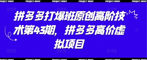 拼多多打爆班原创高阶技术第43期,拼多多高价虚拟项目-创客之家