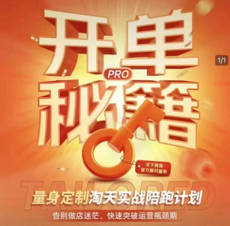 淘宝开单秘籍PRO,量身定制淘天实战陪跑计划,告别做店迷茫、快速突破运营瓶颈期(更新)-创客之家