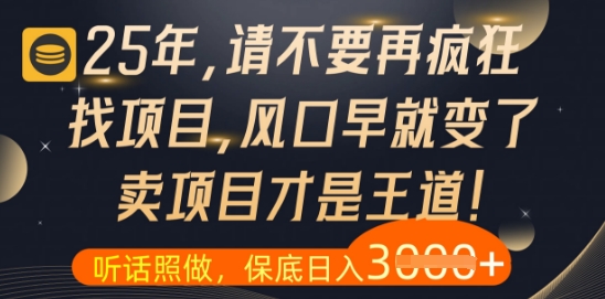 什么？25年你还在疯狂找项目做，醒醒吧，看完这些你全都懂了【揭秘】-创客之家