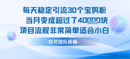 每天稳定引流30个人 当月变成超过了4个W项目流程非常简单适合小白-创客之家