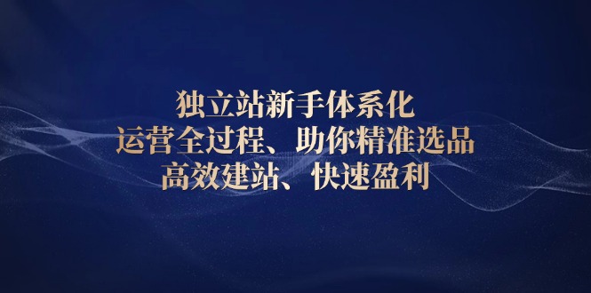 (13914期)独立站新手体系化 运营全过程,助你精准选品、高效建站、快速盈利-创客之家