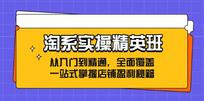 淘系实操精英班：从入门到精通，全面覆盖，一站式掌握店铺盈利秘籍-创客之家