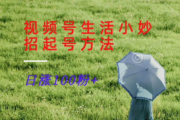 视频号生活小妙招分享赛道, 起号涨粉新方法,日涨100粉-创客之家