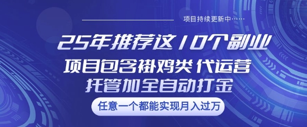 25年推荐这10个副业项目包含褂鸡类、代运营托管类、全自动打金类【揭秘】-创客之家