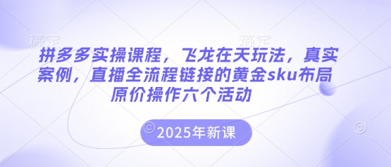 拼多多实操课程，飞龙在天玩法，真实案例，直播全流程链接的黄金sku布局原价操作六个活动-创客之家
