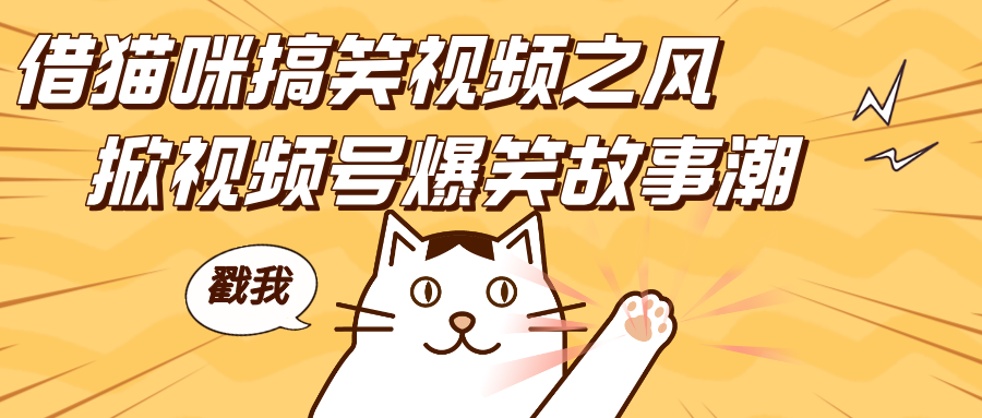 借猫咪搞笑视频之风,掀视频号爆笑故事潮,轻松日赚四位数,开启无门槛赚钱新体验!-创客之家