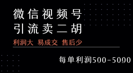 视频号卖二胡教程,利润大 易成交 售后少,一单利润5张+-创客之家
