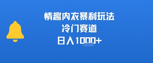 情趣内衣暴利玩法,冷门赛道,日入1k+-创客之家