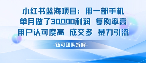 小红书蓝海项目,一部手机单月做了3W利润,小白也能月入过1W用户认可度高成交多-创客之家