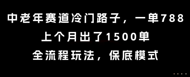 中老年赛道冷门路子,一单788,上个月出了1500单,全流程玩法,保底模式【揭秘】-创客之家