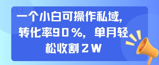 一个小白可操作私域,转化率90%,单月轻松收割2W-创客之家