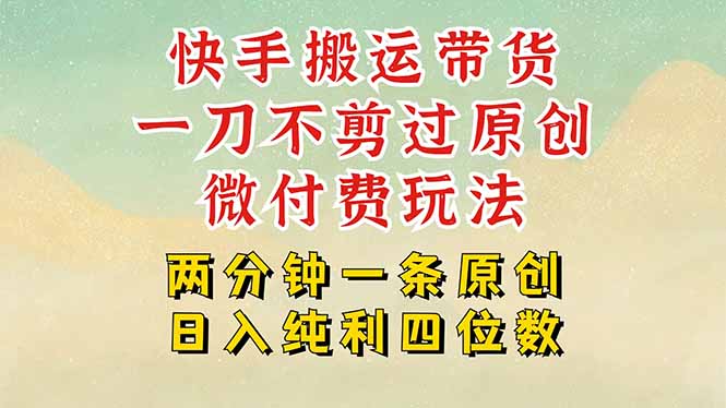 快手黑科技搬运带货,一刀不剪过原创,微付费投流玩法,轻松日入四位数…-创客之家