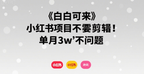 小白可来 小红书项目不需要剪辑 单月3w不是问题-创客之家