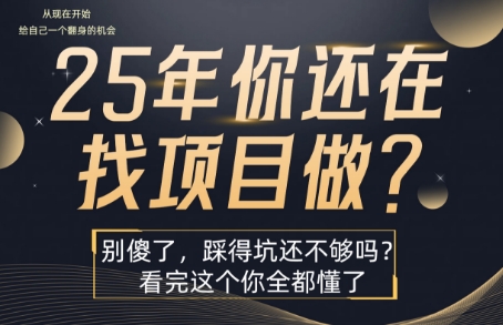 25年,你还在疯狂的找项目吗?别傻了,看完这个你都懂了【揭秘】-创客之家