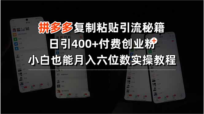 拼多多复制粘贴引流秘籍,日引400+付费创业粉,小白也能月入六位数实操…-创客之家