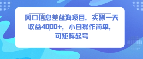 风口信息差蓝海项目，实测一天收益4k+，小白操作简单，可矩阵起号-创客之家