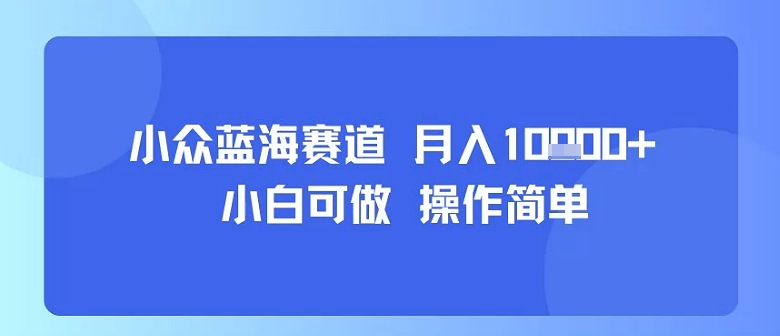 小众蓝海赛道，小白可做，操作简单，每天30分钟，月入1W+-创客之家