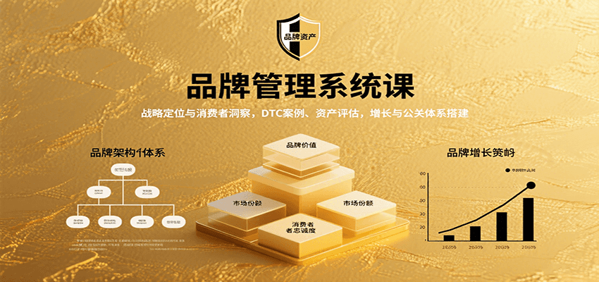 品牌管理系统课:战略定位与消费者洞察,DTC案例、资产评估,增长与公关体系搭建-创客之家