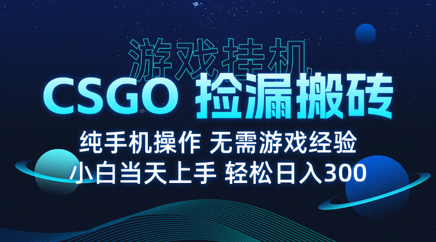 8月最新游戏搬砖，CSGO纯挂机，不需要玩游戏，实现真挂机，月入1W+-创客之家