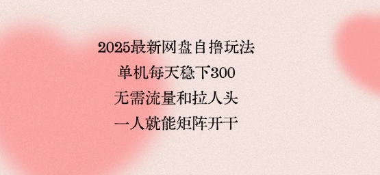 2025最新网盘自撸玩法,单机每天稳下3张,无需流量和拉人头,一个人就可轻松矩阵,全网独一份【揭秘】-创客之家