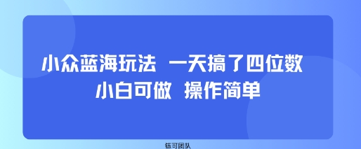 小众蓝海玩法 一天搞了四位数 小白可做 操作简单-创客之家