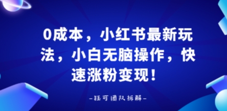 0成本，小红书最新玩法，小白无脑操作，快速涨粉变现-创客之家