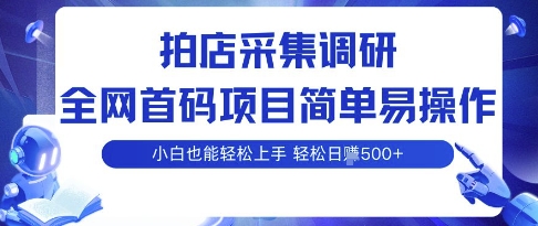 拍店采集调研,全网首码项目,简单易操作, 小白也能轻松上手,多账号操作,轻松日入5张【揭秘】-创客之家