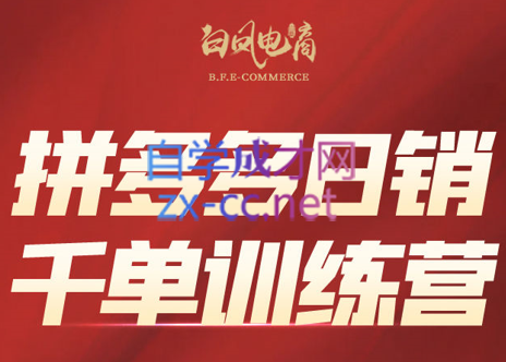 白凤电商·拼多多日销千单训练营(更新9月)-创客之家
