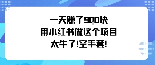 一天挣了9张用小红书做这个项目太牛了,空手套-创客之家
