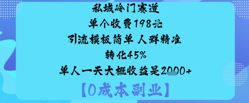 私域冷门赛道:单个收费198米引流模板简单人群精准转化45%单人一天大概收益是1k+-创客之家