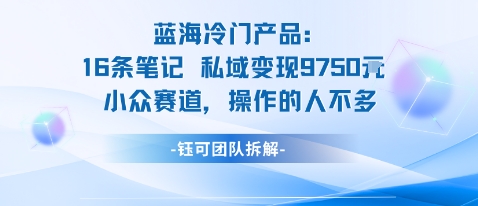 蓝海项目:16条笔记私域变现9750米小众赛道操作的人不多-创客之家