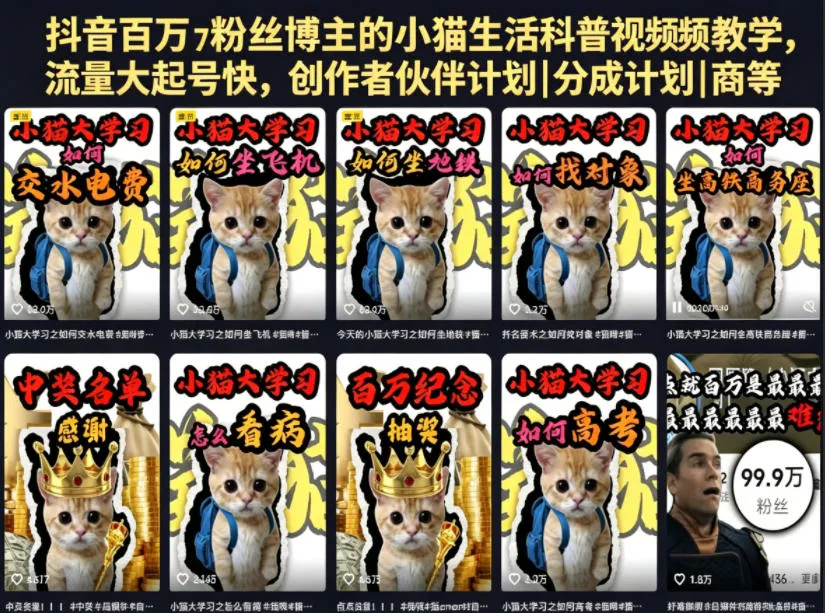 抖音百万粉丝博主小猫生活科普视频教学:零基础剪辑入门,快速起号变现副业-创客之家