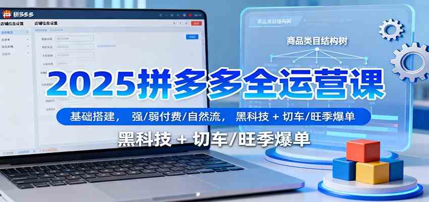 2025拼多多全运营课:基础搭建,强/弱付费/自然流,黑科技 + 切车/旺季爆单-创客之家