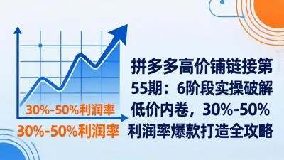 【精】拼多多高价铺链接第55期：6阶段实操破解低价内卷，30%-50%利润率爆款打造全攻略-创客之家