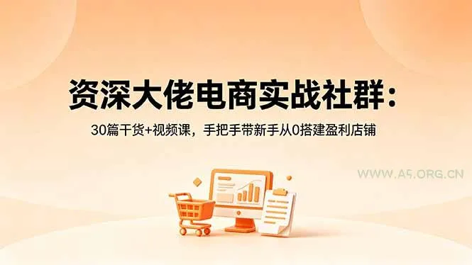 【精】资深大佬电商实战社群：30篇干货+视频课，手把手带新手从0搭建盈利店铺-创客之家