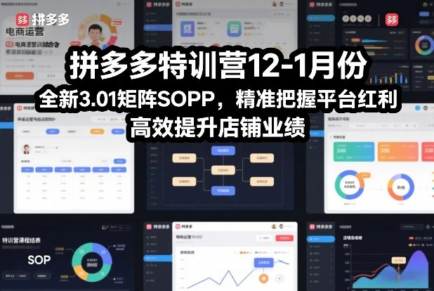【精】拼多多特训营12-1月份,全新3.01矩阵Sop,精准把握平台红利,高效提升店铺业绩-创客之家