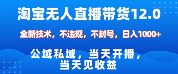 淘宝无人直播12.0，公域私域技术，不封号，不违规布局双十一流量风口，日入1k（独家技术）【揭秘】-创客之家