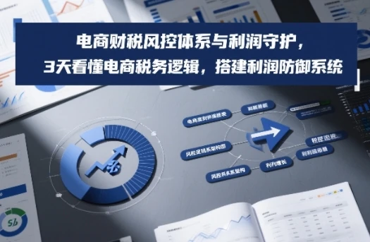 【精】电商财税风控体系与利润守护,3天看懂电商税务逻辑,搭建利润防御系统-创客之家